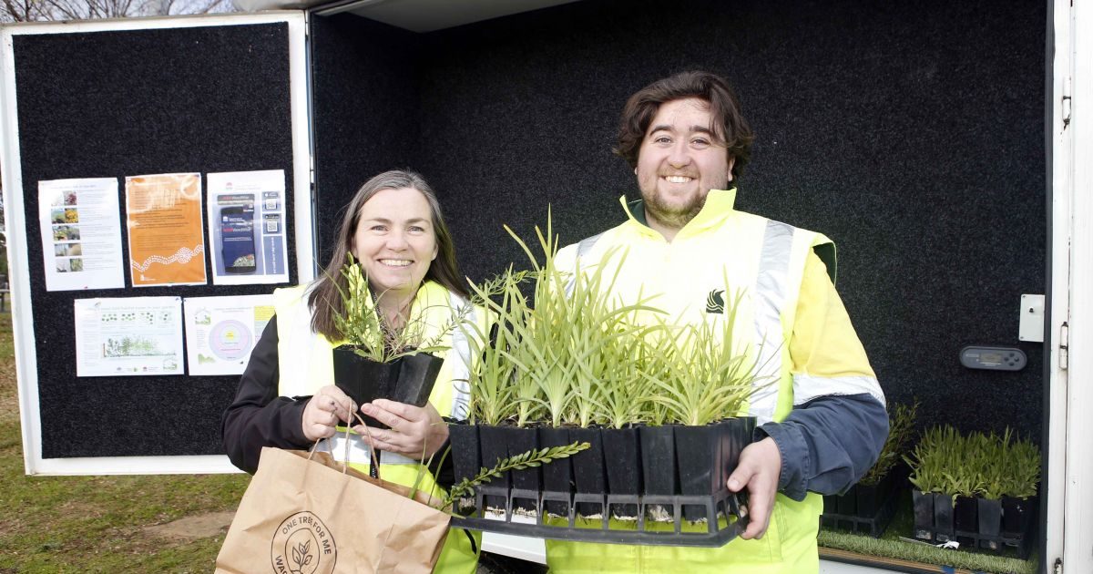 Let it grow! Wagga community embraces council’s One Tree for Me seedling giveaway