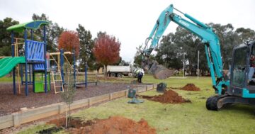 Made in the shade: Wagga Council planting trees to make playgrounds sun-safe havens
