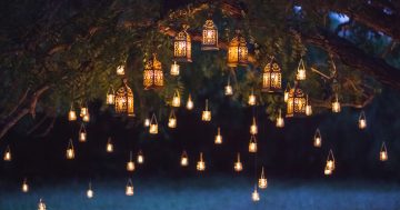 ErinEarth will leave you starry-eyed at garden lantern festival celebrating the season