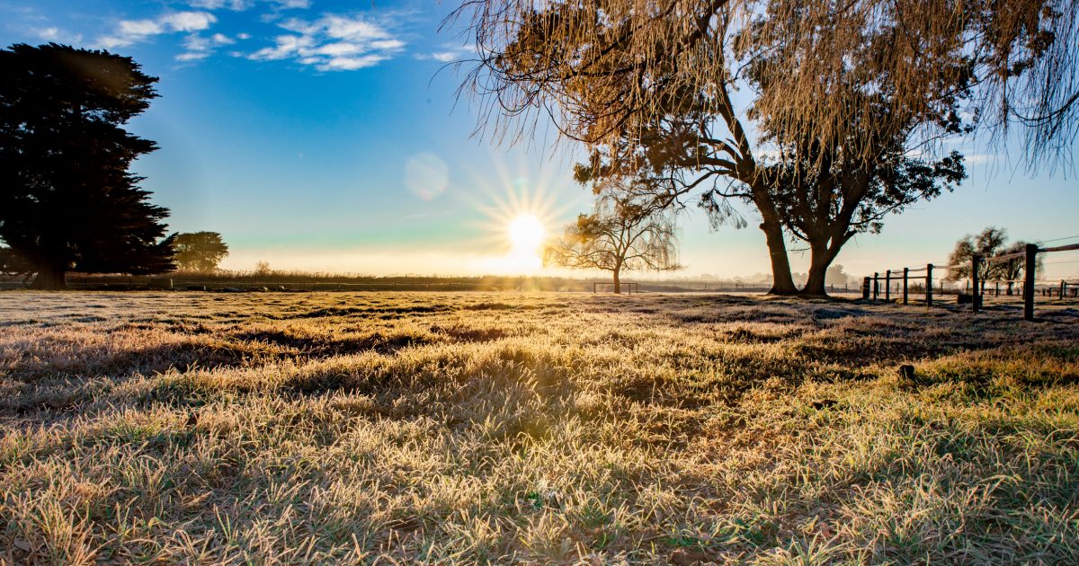 What to expect of the weather this winter in the Riverina