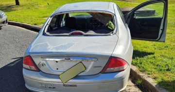 Riverina man with learner licence charged over allegedly assaulting police officer