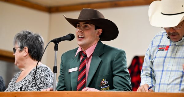 Young Gundagai auctioneer stampedes to the 'greatest outdoor show on earth' in Calgary