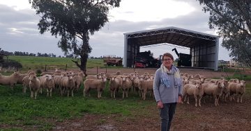 Farming life adds to Jacinta Dore's role as a child and family health nurse