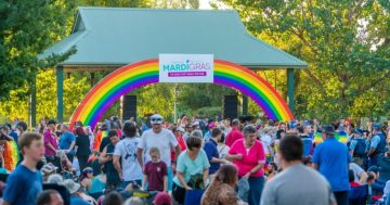 Wagga Mardi Gras puts out a call for local artists to perform on community stage