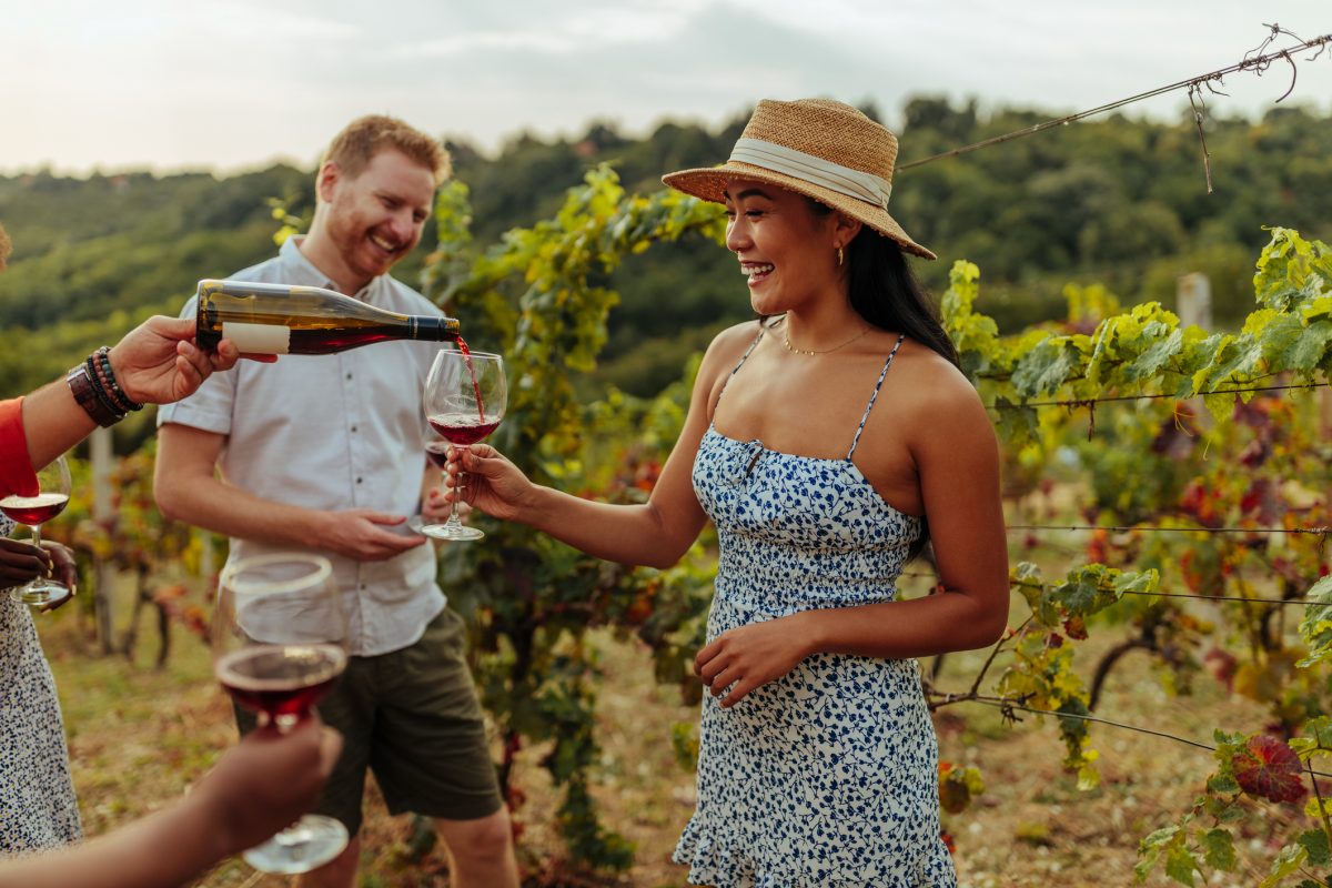 people drinking wine in vineyard