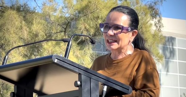 Riverina urged to embrace 'a moment in history' as Linda Burney makes the case for Yes
