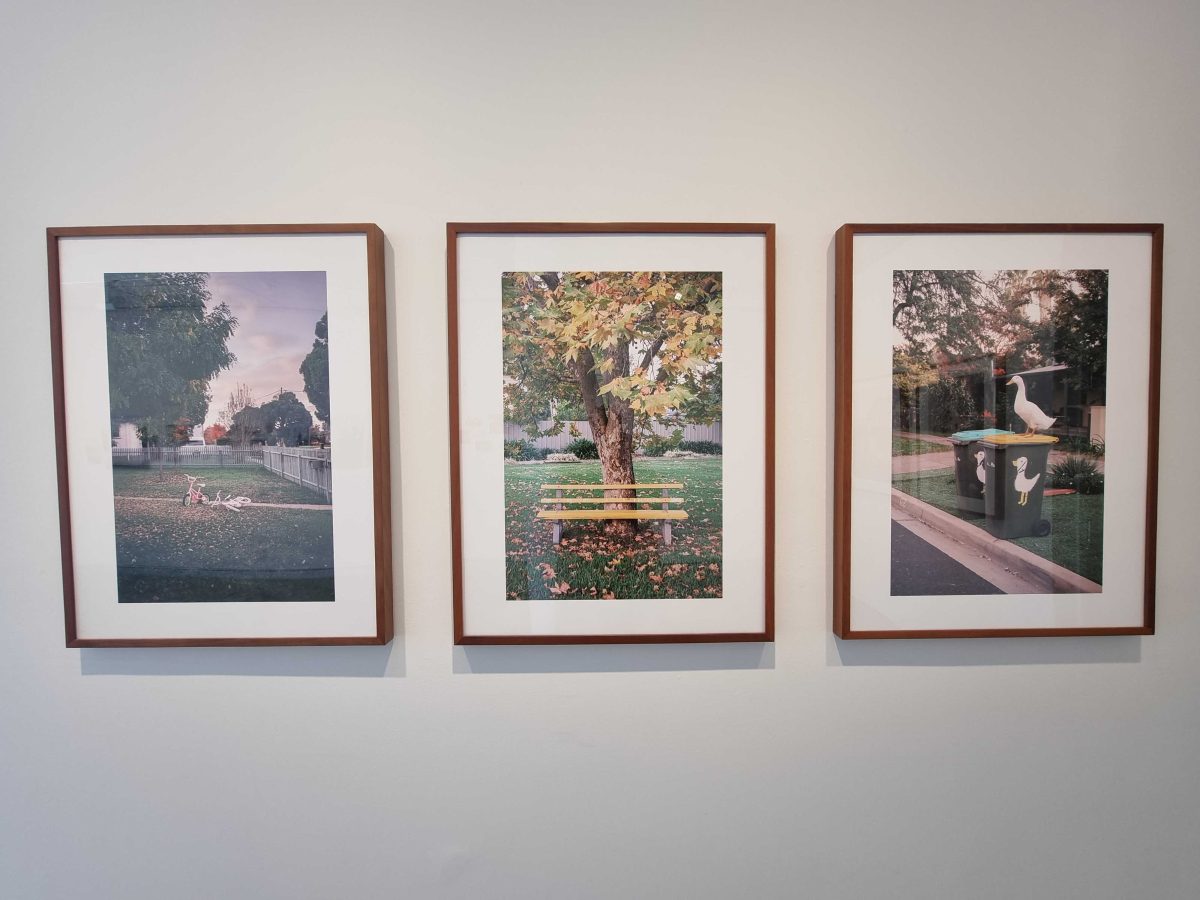 three framed photos on a wall