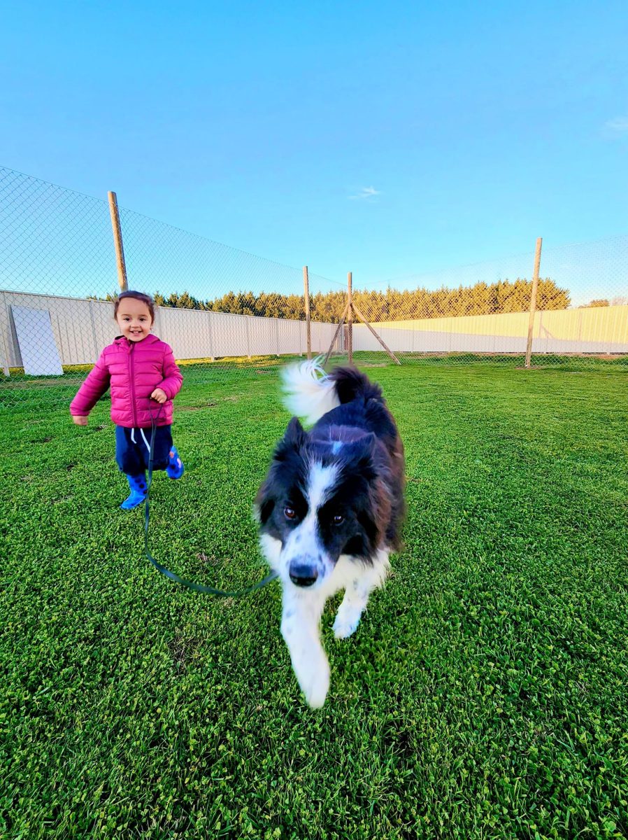 Skylar running alongside dog