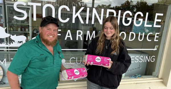 Junee Pastured Eggs thriving on support for cracking product of biodiversity