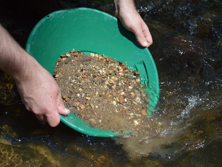 Person panning for gold