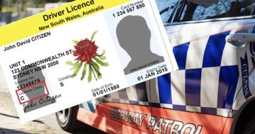 Green light for NSW drivers to have demerit point scrubbed after offence-free year