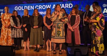 Triple treat as WDF Accounting shines at Golden Crow business awards