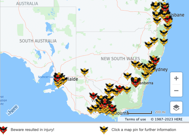 Magpie swooping map 2020. Image: Magpie Alert.