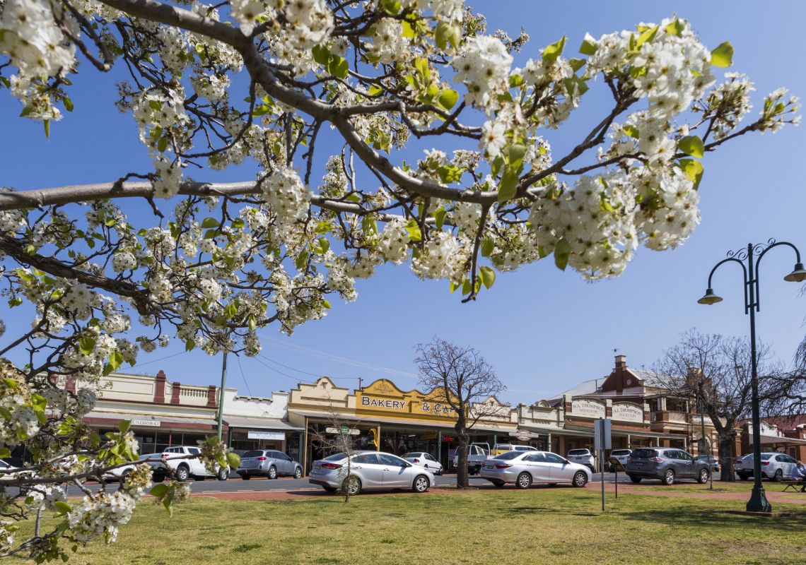 Coolamon offers some great outdoor options and a chance to explore the village.