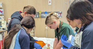 Finger on the career pulse: Riverina high school students step into hospital nurses' shoes