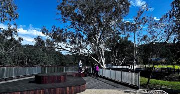 New precinct connects with nature and the Murray River in Albury