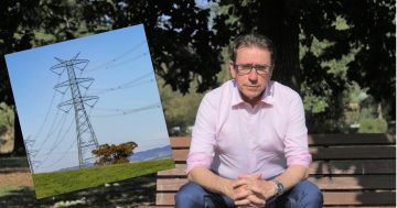 McGirr urges State Government not to rush adoption of Transgrid overhead transmission lines