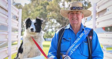 Hometown handler claims victory in the hotly contested Henty sheep dog trials