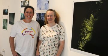 Artists explore the Black Summer bushfires in the Snowy Valleys