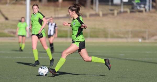 Capital Football CEO threatens resignation as chair insists elite women's football will still be supported in Canberra