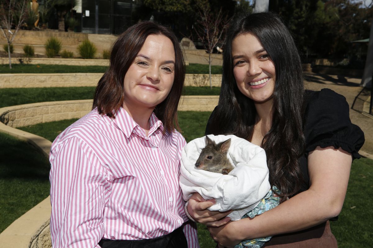 two young women with pademelon joey