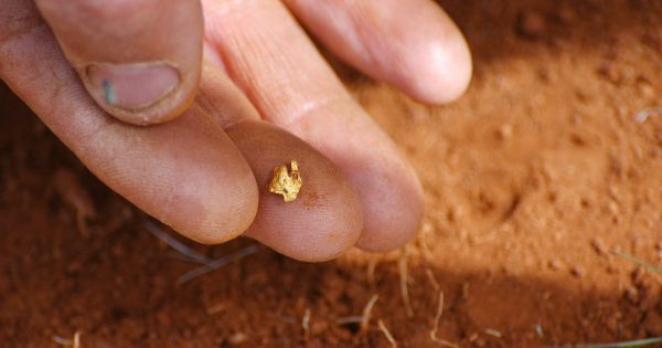 'There's gold in them thar hills': Local mining company receives huge boost