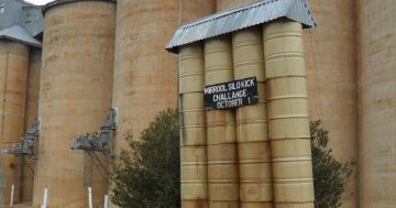 Billy Brownless-inspired Mirrool Silo Kick remains one of the Riverina's most unique events