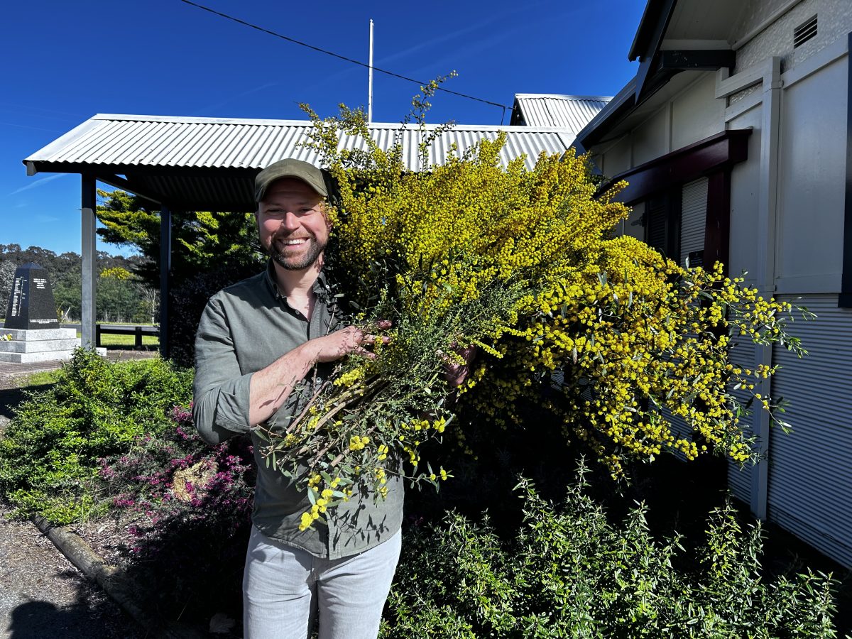 Pascal Proteau shows off some stunning yellow wattle.