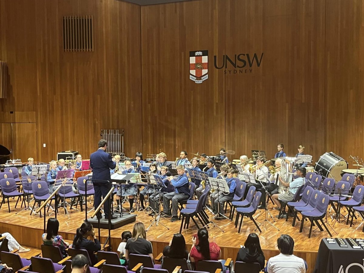 An orchestra band performance 