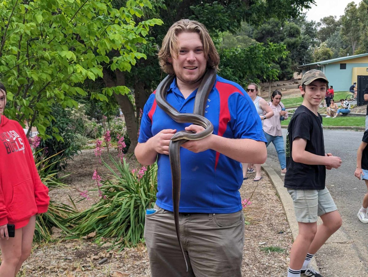 Zoo Keepers brought out snakes at the Fusion Festival