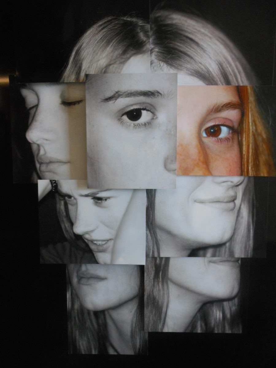 montage of a girl's face in segments