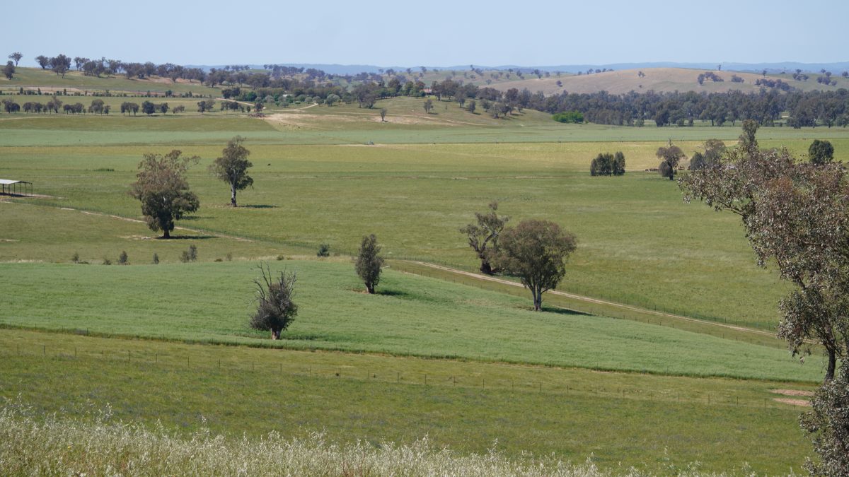 The proposed abattoir site is on the ridge near the distant homestead overlooking the floodplain.