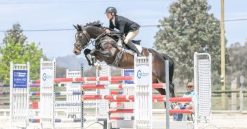 Equestrian elites converge on Albury for high-action eventing competition
