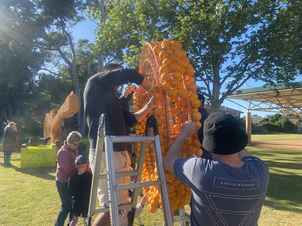 people working on sculpture made of oranges