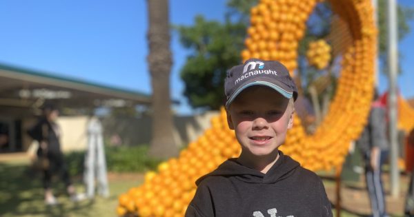 Seven-year-old Ariah Park farmer explains the mystery behind Griffith's giant citrus sculptures