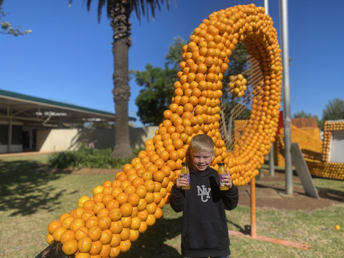 boy in front of sculpture of a tennis racquet made of oranges