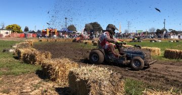 The mowers are back as Motor Mania returns for a second year