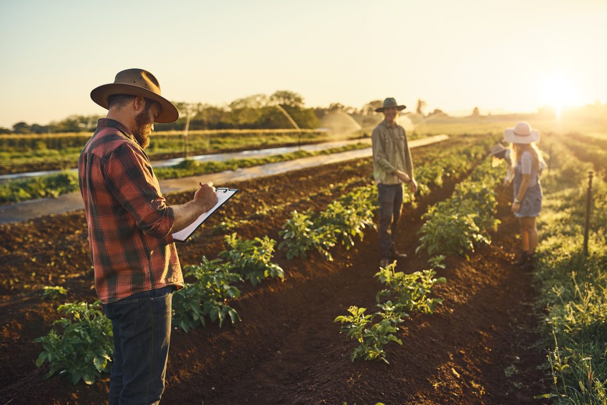 Man inspecting farm