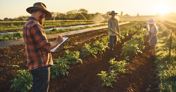 Riverina a hot spot as Fair Work Ombudsman cracks down on agriculture sector compliance