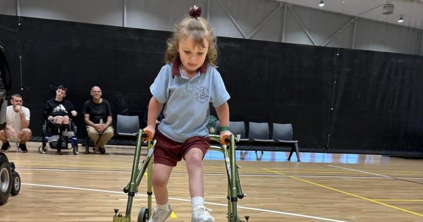 Sport NSW Disability Inclusion Project comes to Wagga and Albury