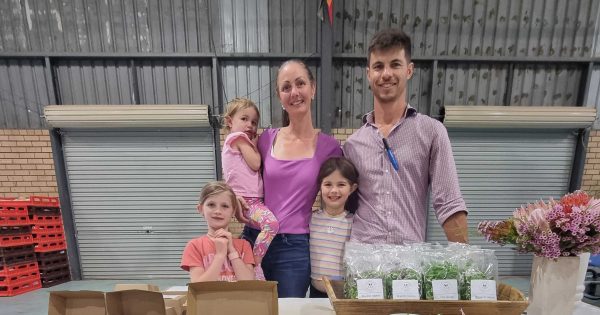 Riverina Made: Rick's microgreen groundwork transforming farming with regenerative practices