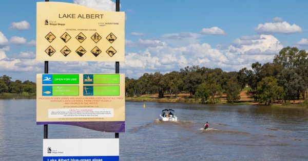 Wagga Council accepts $4.5 million for Lake Albert pipeline