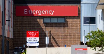Latest MLHD report shows below average wait times for Riverina hospitals