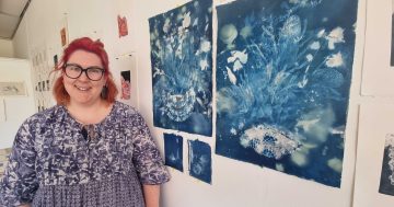 New opportunities available to local artists at Wagga Wagga Art Gallery