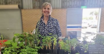 Riverina Made: Katrine rapt as hobby grows into business that treats the senses