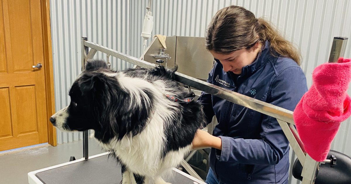 Griffith Feed and Grain launches new recyclingfocused dog grooming