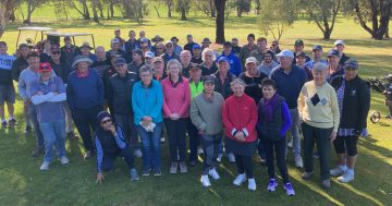 It's fairway success as Jindera grows its numbers on the greens