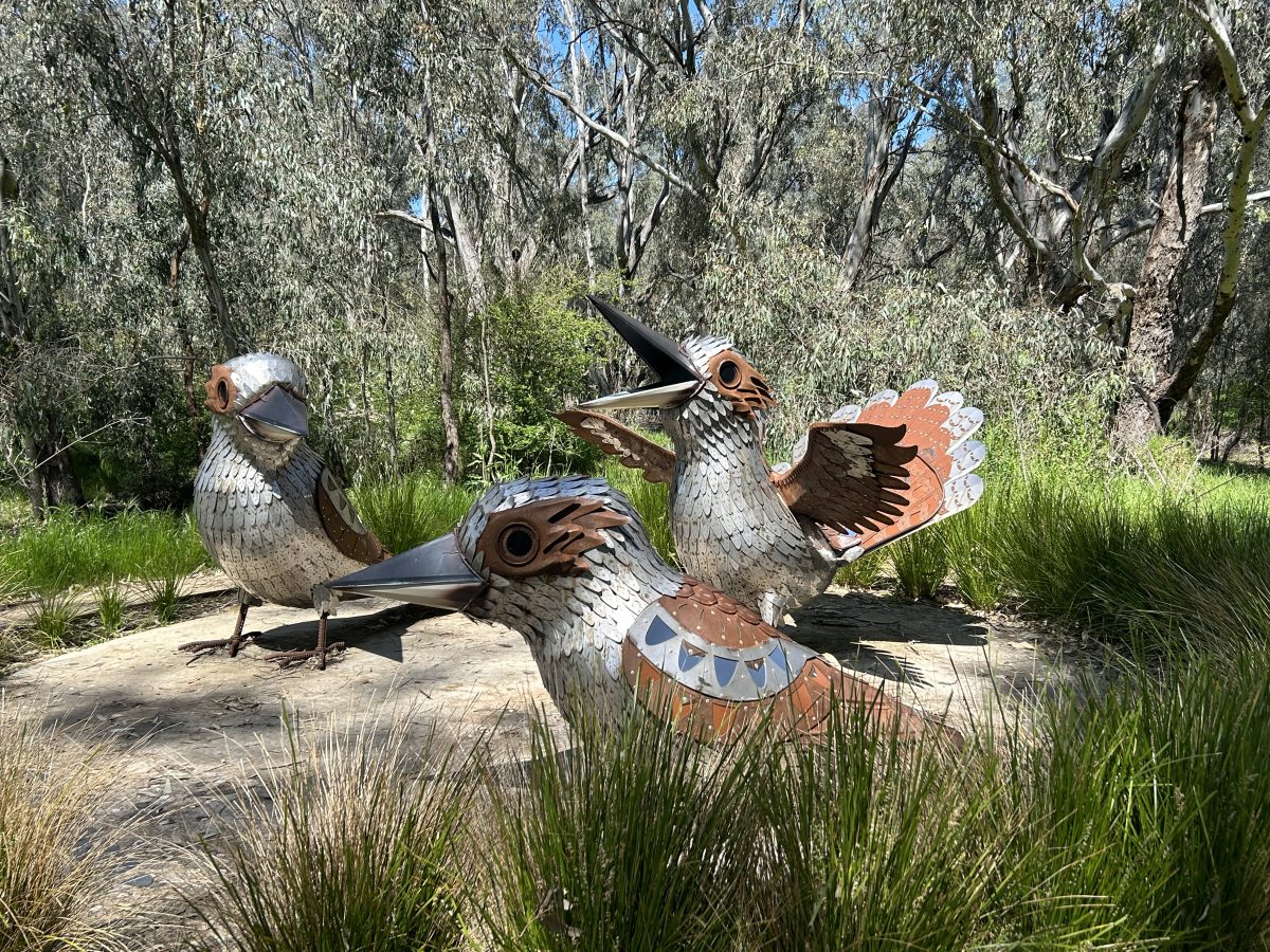 Metal sculptures of kookaburras