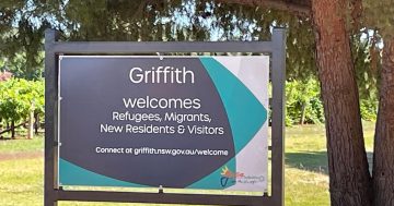 Griffith erects refugee welcome signs and flags campaign combating violence against women