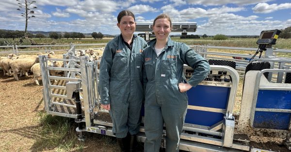 Celebrating National Agriculture Day as students prepare for real-world challenges